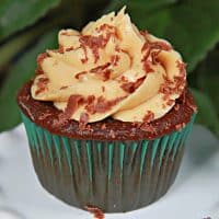 Chocolate Peanut Butter Cupcakes