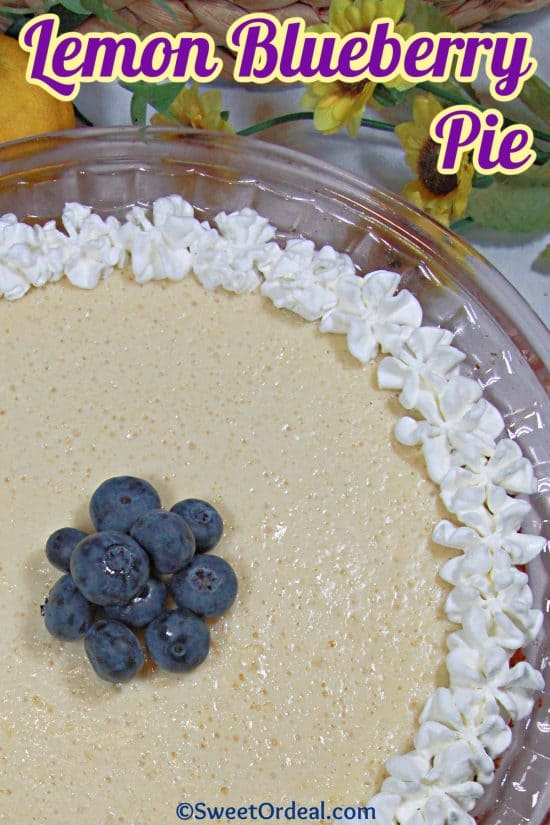 A light and fluffy layer flavored with lemons and cream cheese over blueberries and a buttery graham cracker crust.