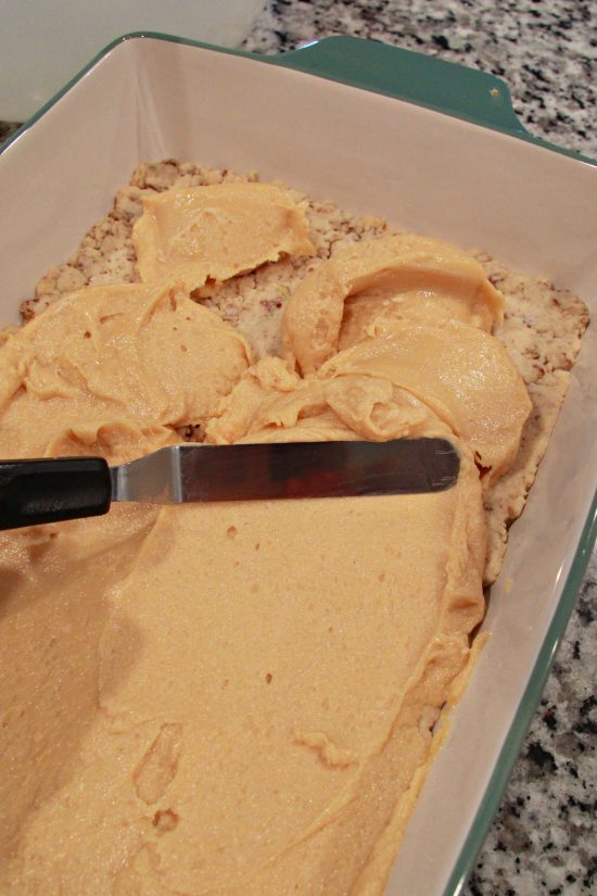 Chocolate Peanut Butter Dessert has that classic pairing of flavors in this old fashioned treat.