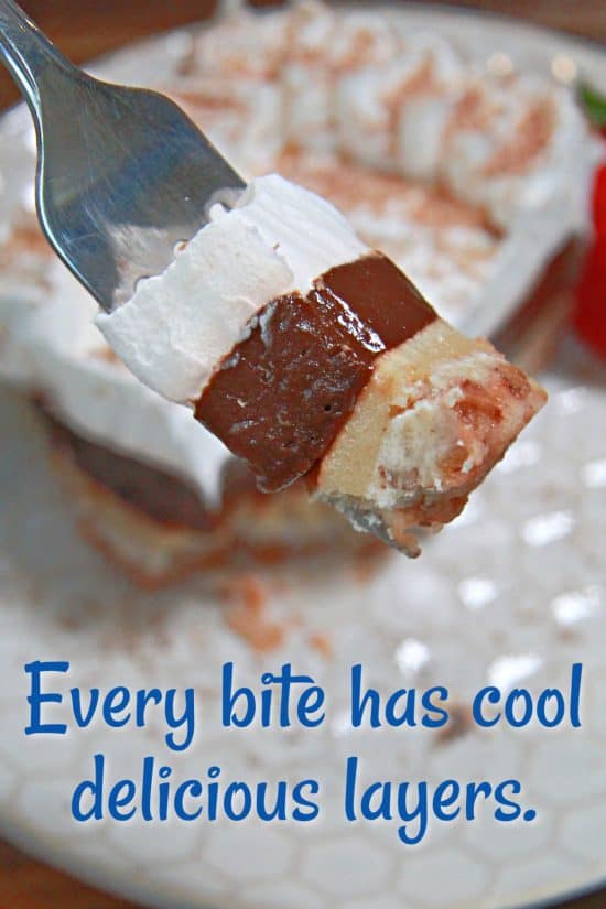 A chilled, layered treat that has delicious flavors in every bite.