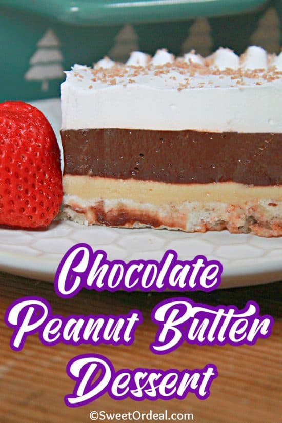 Chocolate Peanut Butter Dessert has just the right amount of creamy, crunchy, sweet, and salty.