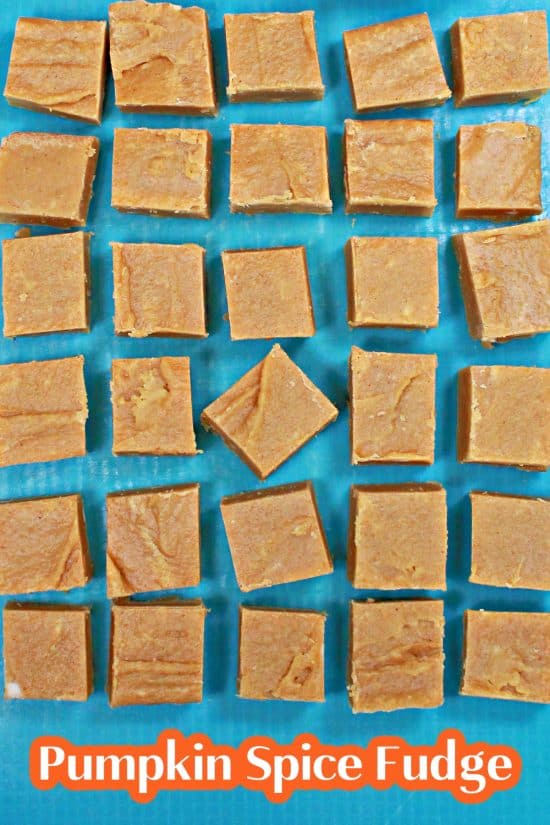 A dessert flavored with fall spices cut into cubes--perfect for sharing.