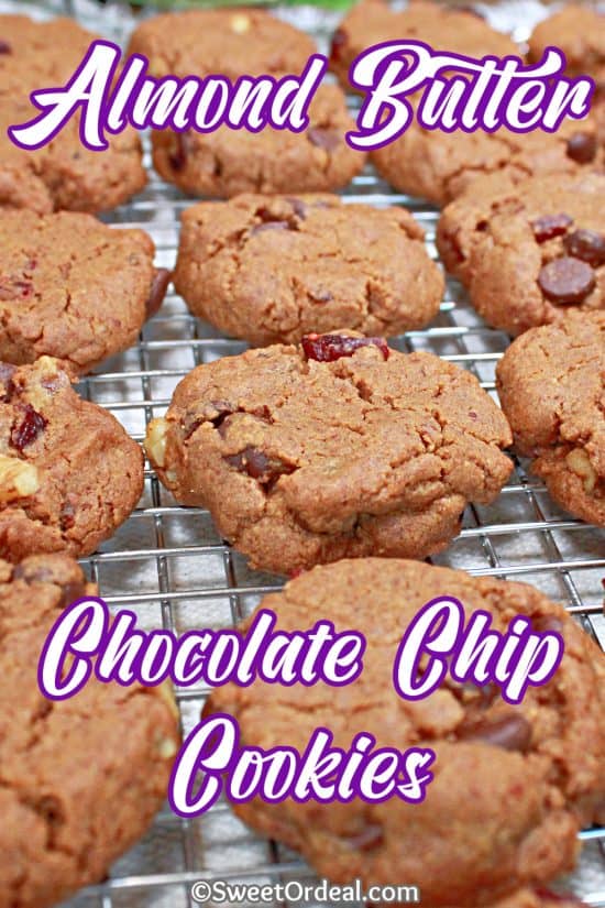 Semi-sweet chips and dried cranberries with walnuts in each little cookie.