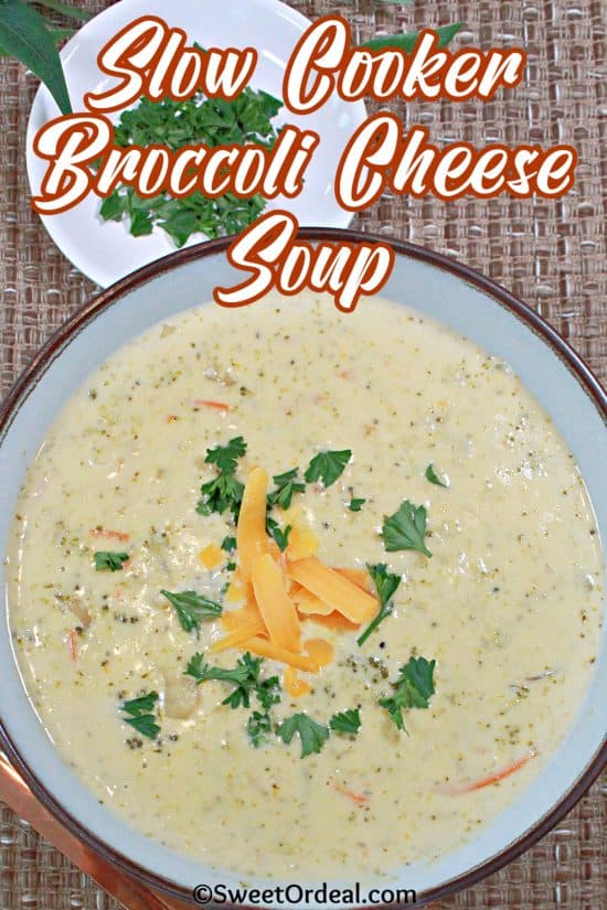 Fresh vegies, chicken broth, and a little seasoning pureed in this delicious meal.