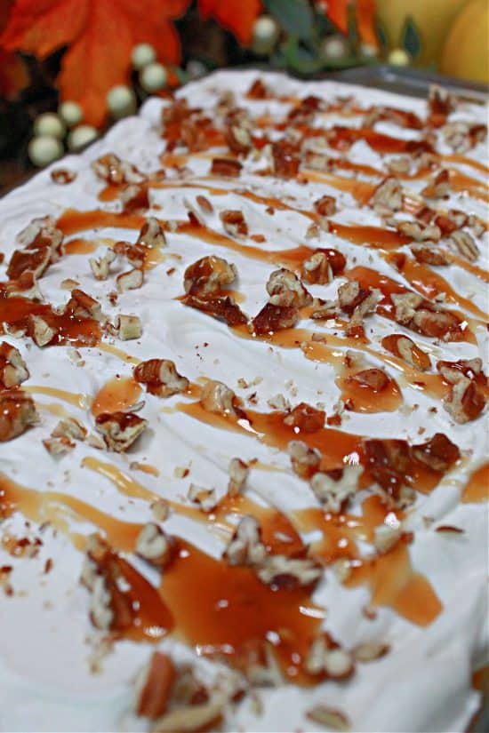 No Bake Pumpkin Lasagna is a creamy, dreamy layered treat loaded with pumpkin spice goodness.