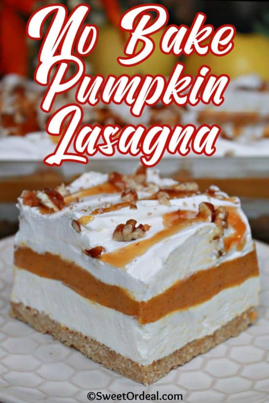 An amazing layer, chill, and enjoy dessert that's perfect with all those warm, cozy fall flavors.