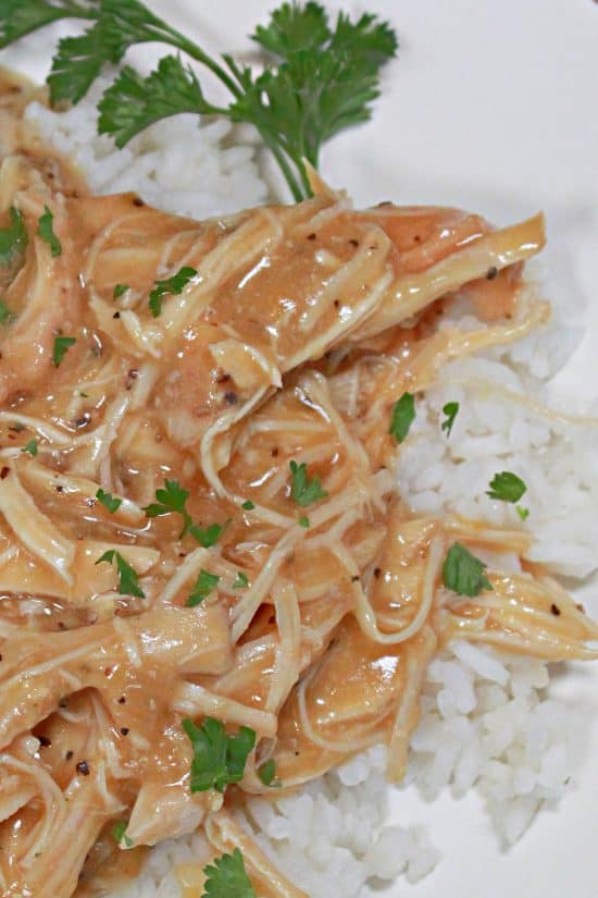 A creamy, hearty, and delicious meal of meat cooked in a sauce: perfect for over rice, mashed potatoes, or pasta.