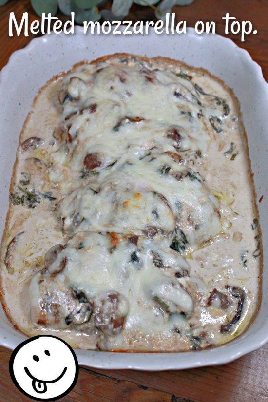 Melted mozzarella cheese tops this delicious dish of chicken in gravy.
