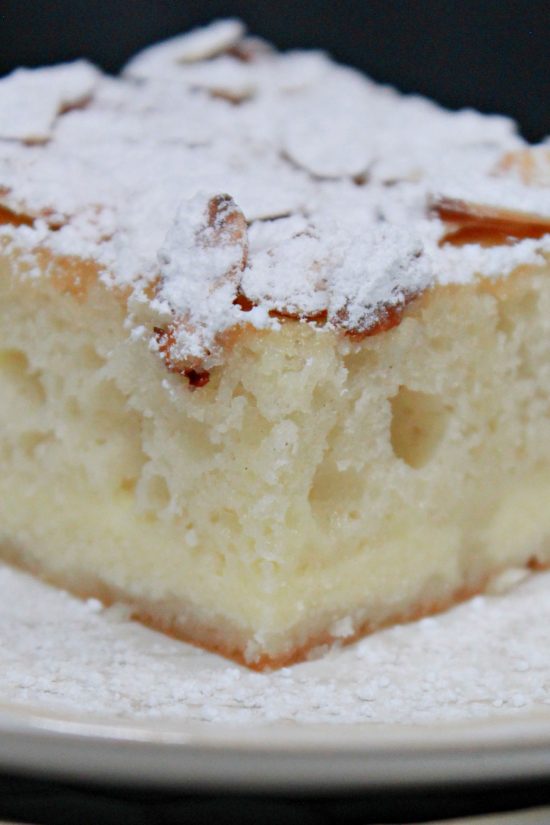 Powdered sugar and toasted almonds top this moist and delicious cake made in a 13x9" baking dish.
