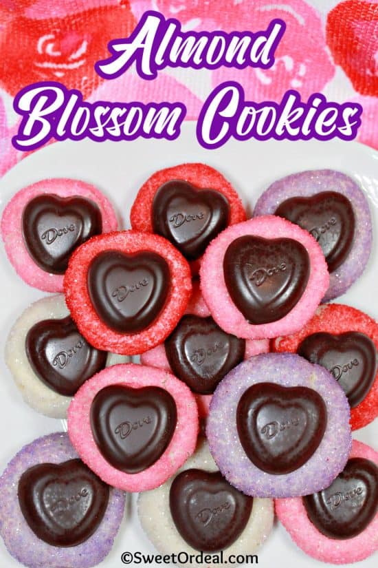 Red, pink, lavender, and white sanding sugar celebrate Valentine's Day with heart shaped chocolates on top.