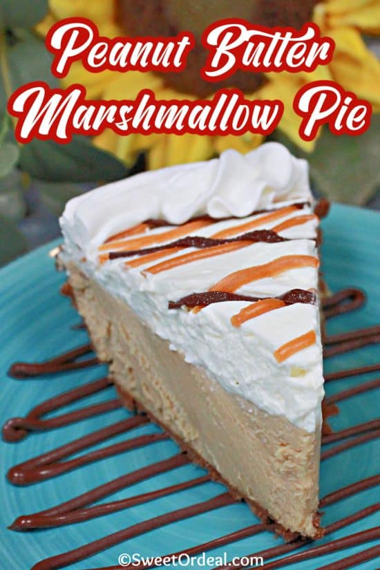 Drizzle over the top of this 9-inch dessert with a chocolate crust, rich and creamy filling flavored with PB.