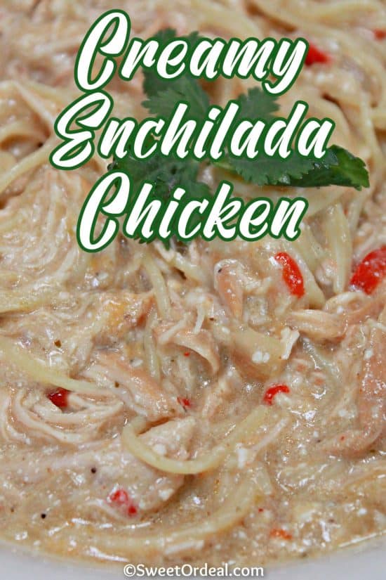 Tender pieces of shredded chicken mixed with a tangy sauce, cheese, and all the right spices.
