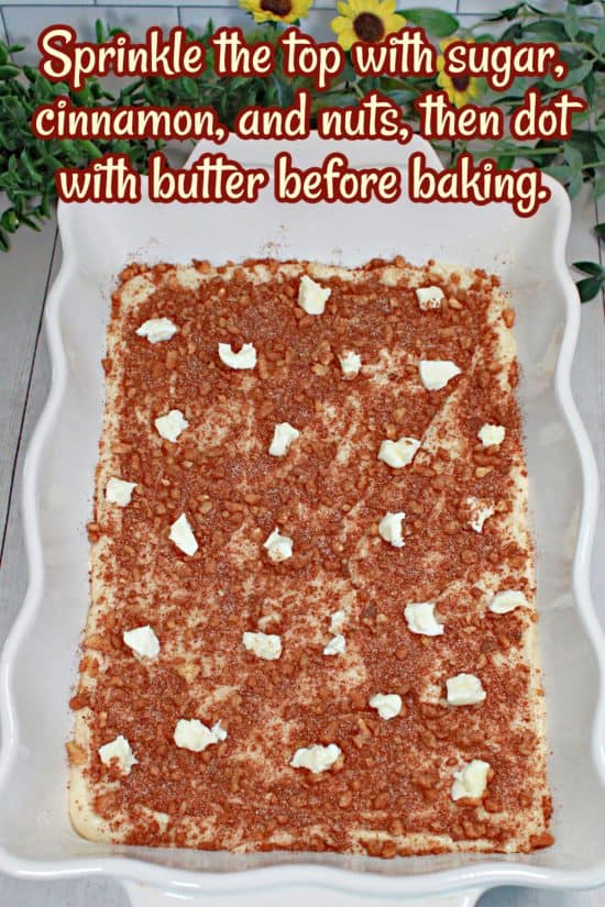 Cinnamon Crunch Cake has a buttery topping of sugar, cinnamon, and nuts for that moment of "crunch."