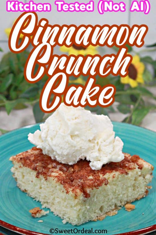 The perfect dessert to serve warm with ice cream, plain, or cold from the fridge with a hot cup of coffee.